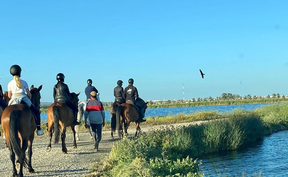 Equitación - Cabalgatas en la Ria Formosa
