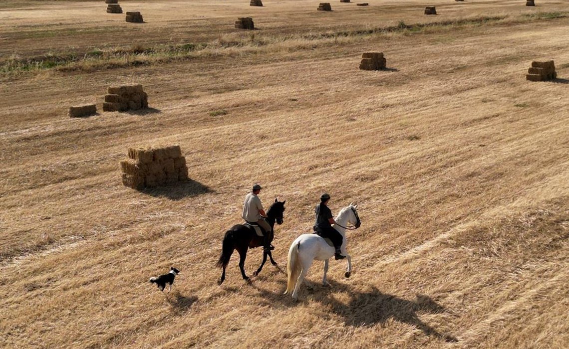 Equitación - Cabalgatas en la Ria Formosa