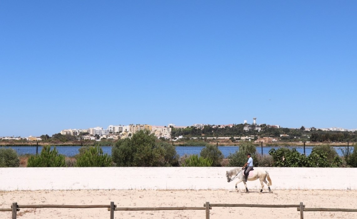 Equitation - tour a cheval dans la Ria Formosa.