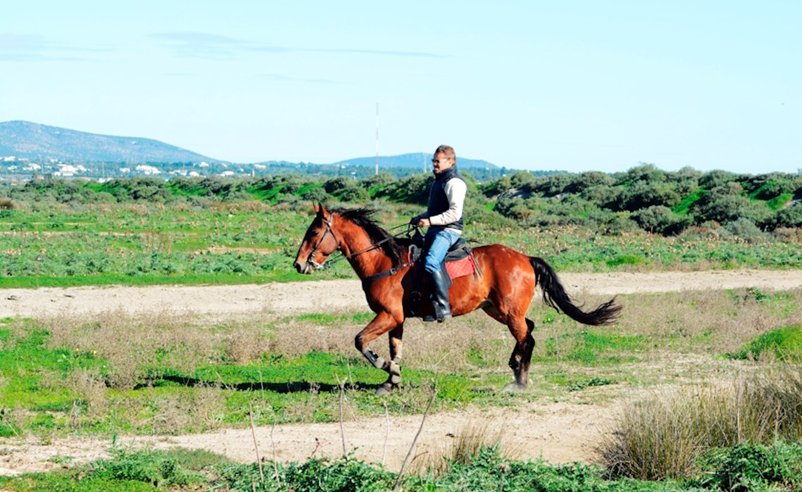 Equitación - Cabalgatas en la Ria Formosa